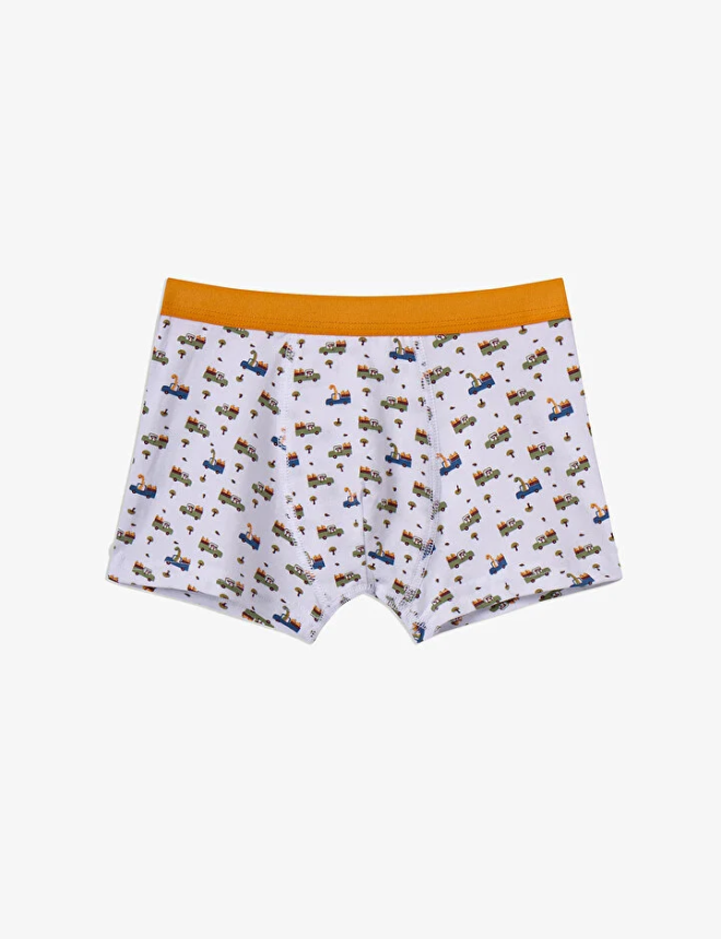 PLZSJFBI26IY Ներքնազգեստ վարտիք 3 հատ B.DINO IN THE FIELD 3 PACK BOXER